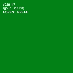 #028117 - Forest Green Color Image