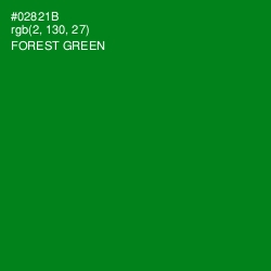 #02821B - Forest Green Color Image