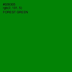 #028305 - Forest Green Color Image