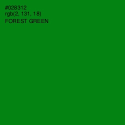 #028312 - Forest Green Color Image