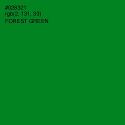 #028321 - Forest Green Color Image