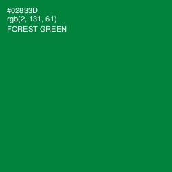 #02833D - Forest Green Color Image