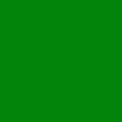 #02840B - Forest Green Color Image