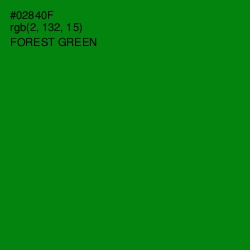 #02840F - Forest Green Color Image