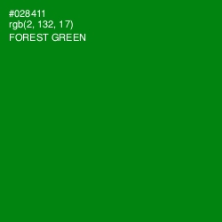 #028411 - Forest Green Color Image