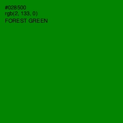 #028500 - Forest Green Color Image