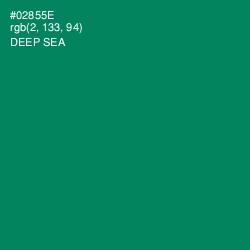 #02855E - Deep Sea Color Image