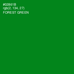 #02861B - Forest Green Color Image