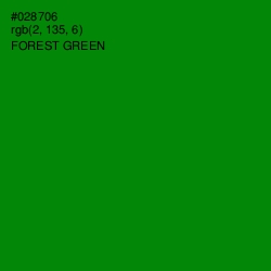 #028706 - Forest Green Color Image