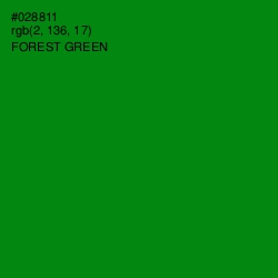 #028811 - Forest Green Color Image