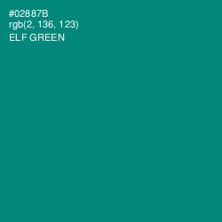 #02887B - Elf Green Color Image