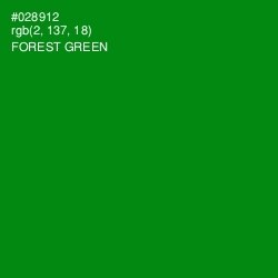 #028912 - Forest Green Color Image