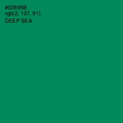 #02895B - Deep Sea Color Image