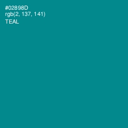 #02898D - Teal Color Image