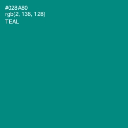 #028A80 - Teal Color Image