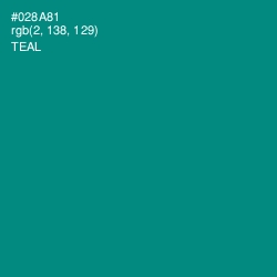 #028A81 - Teal Color Image