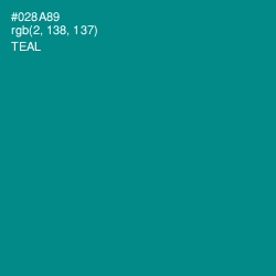 #028A89 - Teal Color Image