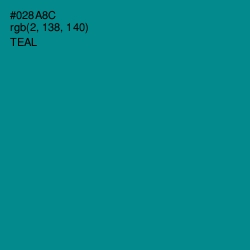 #028A8C - Teal Color Image