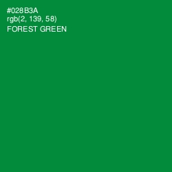 #028B3A - Forest Green Color Image