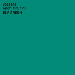 #028B78 - Elf Green Color Image