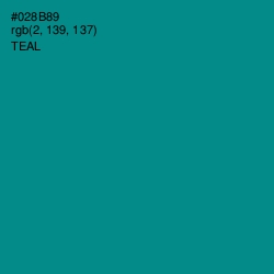 #028B89 - Teal Color Image