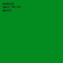 #028C20 - Forest Green Color Image