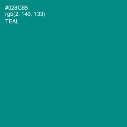 #028C85 - Teal Color Image