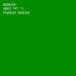 #028D01 - Forest Green Color Image
