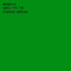 #028D13 - Forest Green Color Image