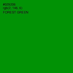 #029206 - Forest Green Color Image