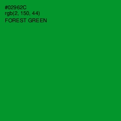 #02962C - Forest Green Color Image