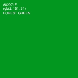 #02971F - Forest Green Color Image