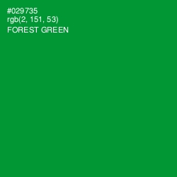 #029735 - Forest Green Color Image