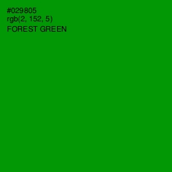 #029805 - Forest Green Color Image