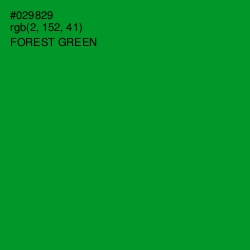 #029829 - Forest Green Color Image