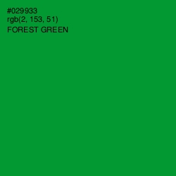 #029933 - Forest Green Color Image