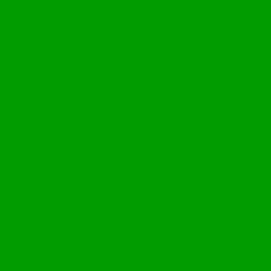 #029A01 - Forest Green Color Image