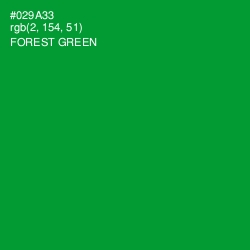 #029A33 - Forest Green Color Image