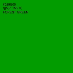 #029B00 - Forest Green Color Image