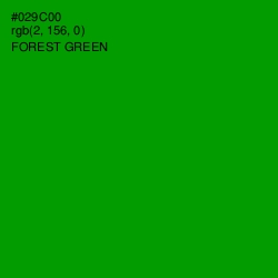 #029C00 - Forest Green Color Image