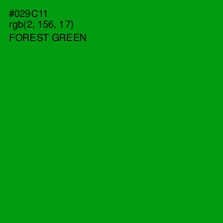 #029C11 - Forest Green Color Image