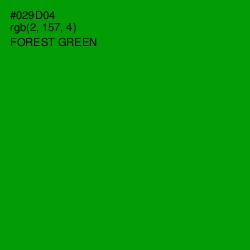 #029D04 - Forest Green Color Image