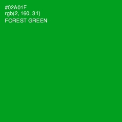 #02A01F - Forest Green Color Image