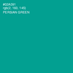 #02A091 - Persian Green Color Image