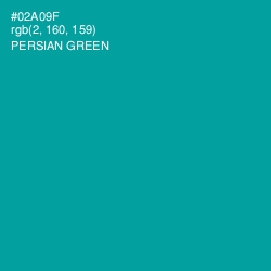 #02A09F - Persian Green Color Image