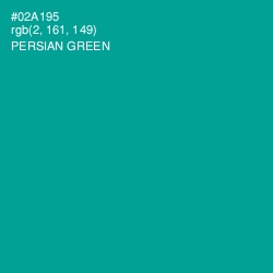 #02A195 - Persian Green Color Image