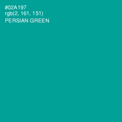 #02A197 - Persian Green Color Image