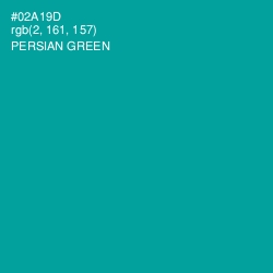#02A19D - Persian Green Color Image