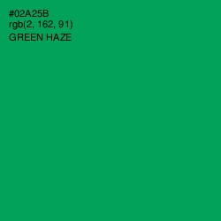 #02A25B - Green Haze Color Image