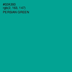 #02A393 - Persian Green Color Image